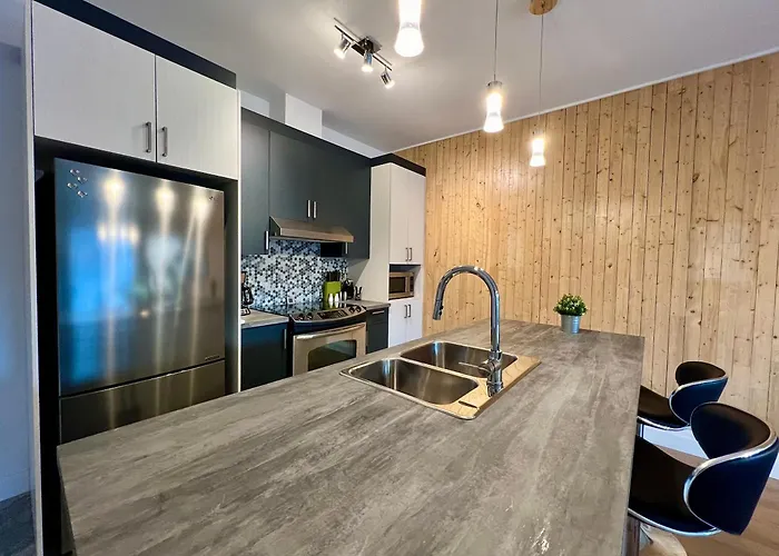 Le Kameleon 305 - Lumineux Et Moderne, Condo Au Centre-Ville